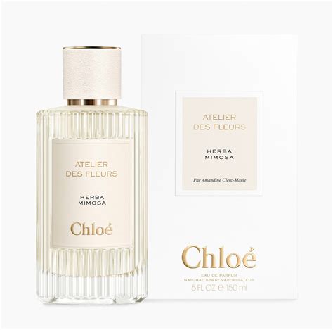 chloe parfum herba mimosa|Herba Mimosa Chloé for women and men .